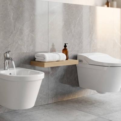 Bidet vs. Dusch-WC: Was ist die beste Wahl für Ihr Badezimmer?