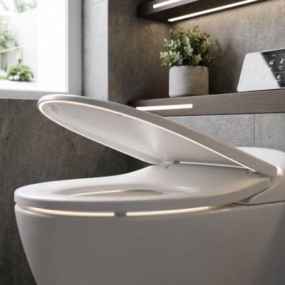 WC-Sitz mit Absenkautomatik: Warum sich die kleine Investition lohnt