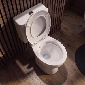 Kompakt-WC ZETA RIM – randlos, weiß glänzend, mit Softclose-Sitz - Zusatzbild